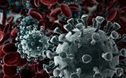 virus_4